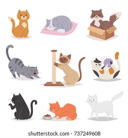Funny cartoon cats characters different breeds illustration. Kitty young pet