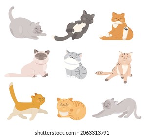 Funny cartoon cats in different colors and poses. Flat vector illustration on white background 