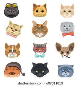 Funny cartoon cats heads and muzzle faces vector icons set. Different cat breed types in hipster style. Cute kitten pets in tie bow, glasses, smoking cigar and sleeping pajama cap