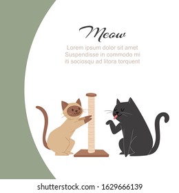 Funny cartoon cats scratching claw sharpener and licking paw with meow typography vector illustration. Cute cats for pets shop ad or website.