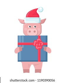 Funny cartoon Christmas pig with gift box. 