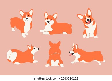 Funny cartoon corgi dogs. Set og cute welsh corgies, lying running smiling puppy. Vector isolated illustration