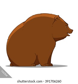 funny cartoon cute bear illustration