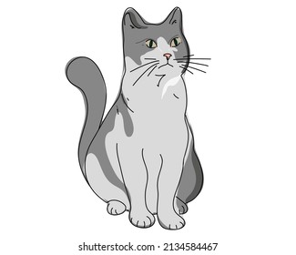 Funny cartoon cute gray cat or kitten, beautiful isolated on white background. 
Hand drawn, doodle. Vector illustration