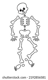 Funny cartoon dancing skeleton. Cute graphics for Halloween. Resume isolated illustration on white background.