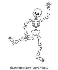 Funny cartoon dancing skeleton. Cute graphics for Halloween. Resume isolated illustration on white background.