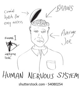 A funny cartoon diagram of a man with his head opening up revealing his brain.