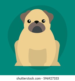 Funny cartoon dog character bread illustration in cartoon style happy puppy and bulldog isolated friendly mammal vector illustration.
