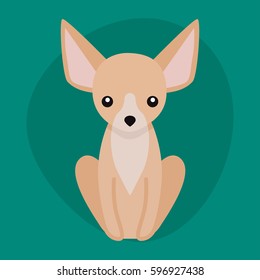 Funny cartoon dog character bread illustration in cartoon style puppy and chihuahua isolated friendly mammal adorable mascot canine vector illustration.