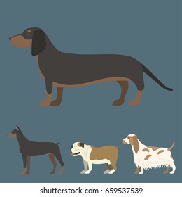 Funny cartoon dog character bread in flat style puppy pet animal doggy vector illustration.