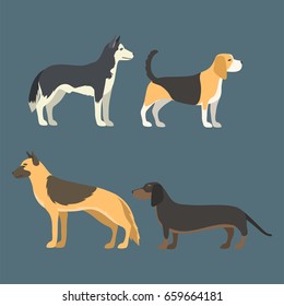 Funny cartoon dog character bread in flat style puppy pet animal doggy vector illustration.