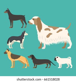 Funny cartoon dog character bread in flat style puppy pet animal doggy vector illustration.