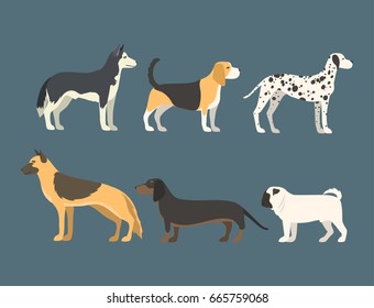 Funny cartoon dog character bread in flat style puppy pet animal doggy vector illustration.