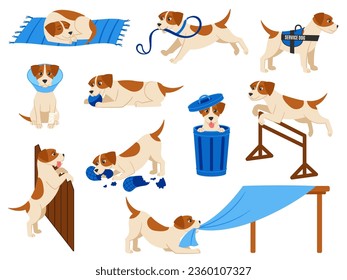 Funny cartoon dog scenes. Cute beagle pup plays with ball, service dog and injured pet. Puppy misbehaving, jumps and sleep vector illustration set of funny pet dog lying and sleeping