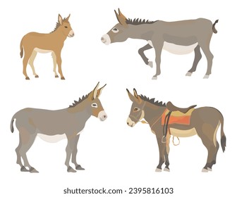 Funny cartoon donkey set. Vector farm animals illustration.