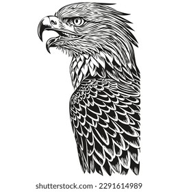 Funny cartoon eagle, line art illustration ink sketch bird
