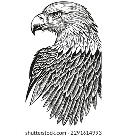 Funny cartoon eagle, line art illustration ink sketch bird
