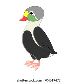 Funny cartoon eider duck. Vector insect illustration. Cartoon bird. Isolated on white background. Arctic animals. Arctic birds.