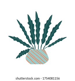 Funny cartoon flat vector house plant spatifillium in pot isolated. Tropical plant for interior decor. Vector illustration. Decorative natural isolated element on white for logo, sticker