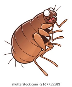 Funny cartoon flea. Cartoon flea series. 