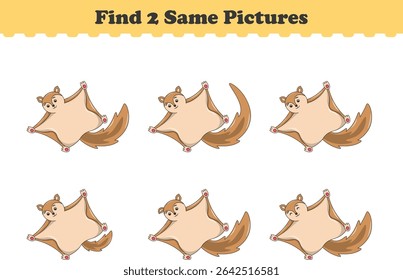 Funny cartoon Flying squirrels. Find two same pictures. Educational game for children. Cartoon vector illustration
