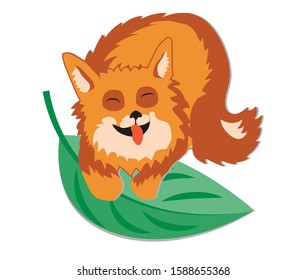 Funny cartoon fox, fox and leaf, children`s vector drawing