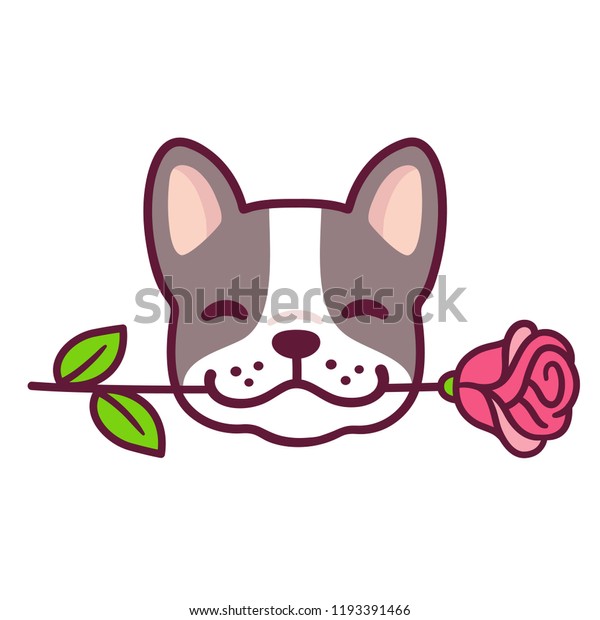 フランスのブルドッグ犬が口にバラをくわえたおかしな漫画 かわいいバレンタインデーの犬のグリーティングカードベクターイラスト のベクター画像素材 ロイヤリティフリー