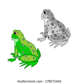 A funny cartoon frog