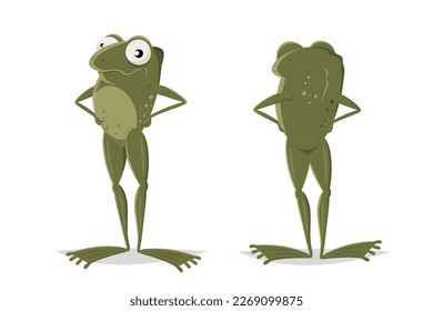 funny cartoon frog in front view and rear view