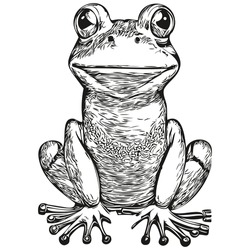 Funny Cartoon Frog, Line Art Illustration Ink Sketch Toad
