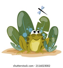 Una graciosa rana de dibujos animados se sienta en los grillos de hierba alta y mira a una libélula voladora. Buen ejemplo para los niños. Ilustración vectorial con rana
