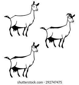 Funny cartoon goat. vector icon set 