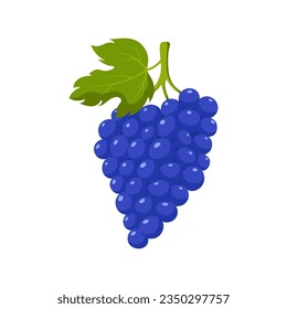 Funny cartoon grape. Cute fruit. Vector food illustration isolated on white background.
