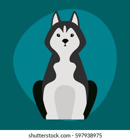 Funny cartoon huskies dog character black white bread illustration in cartoon happy puppy and friendly mammal adorable mascot canine vector illustration.