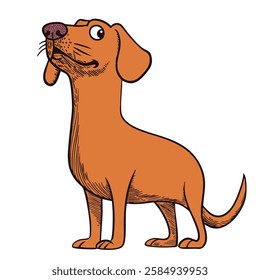 Funny cartoon illustration of a dachshund with a long neck, exaggerated features, and a curious expression, drawn in a vintage comic style