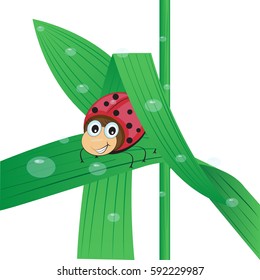 A funny cartoon ladybug hides from the moisture under a leaf of grass on a white background. Vector illustration