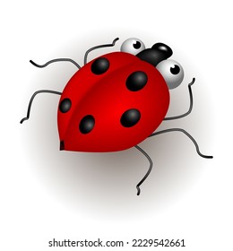 Funny cartoon ladybug, with red wings and crazy eyes, one of a kind of insects