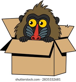 Funny cartoon mandrill monkey peeking out from inside a cardboard box vector illustration isolated on transparent background.