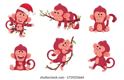 Funny Cartoon Monkey Swinging on Liana and Sleeping on Tree Branch Vector Set