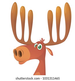 Funny cartoon moose. Vector moose character illustration 