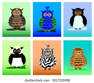 Funny cartoon owl. Stylized as different animals and birds - peacock, penguin, panda, zebra and giraffe. Set of cute eagle-owls