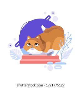 Funny cartoon persian red cat standing and playing on the red platform. Completed and isolated vector illustration.