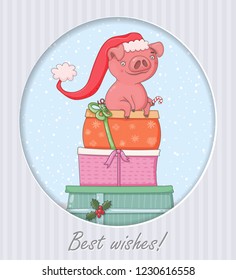 Funny cartoon pig with gift boxex, symbol of 2019 year. 