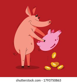 Funny cartoon pig with piggybank pulls out coins savings vector illustration, money finance theme humorous animal swine character drawing.