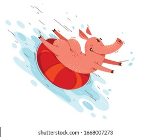 Funny Cartoon Schweine rutschen auf Wasser mit Ring in Aqua Park oder Meer Strand Sommer Spaß Vektorillustration Illustration, Aktivität glücklich genießen Tierschweine Zeichnen.