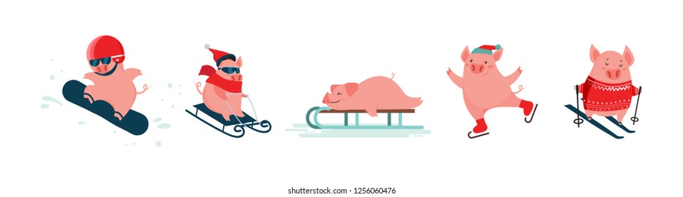 Funny cartoon pigs. Winter vector sport activities. Symbol of the New Year. Excellent for the design of postcards, posters, stickers and so on. vector illustration