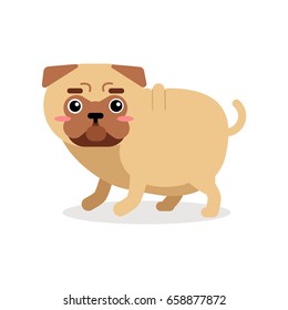 Funny cartoon pug dog character vector Illustration