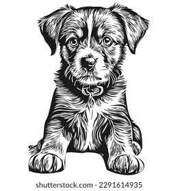Funny cartoon puppy, line art illustration ink sketch puppies
