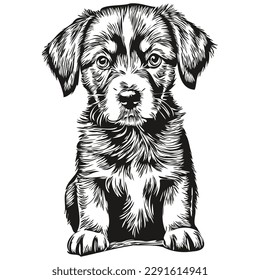 Funny cartoon puppy, line art illustration ink sketch puppies
