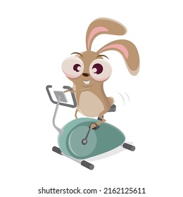 Funny Cartoon Rabbit On A Bike Trainer